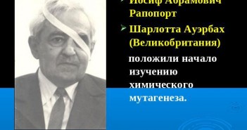 ppt4web.ru
