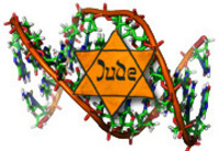 news.israelinfo.co.il-