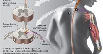 fast-doctor.ru-