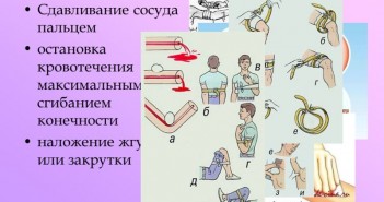 www.myshared.ru-