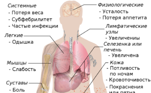 ru.wikipedia.org