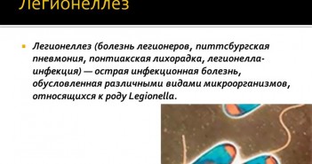 medicfoto.ru