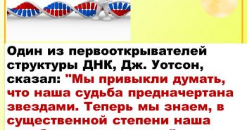www.myshared.ru