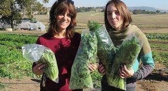 www.agrotechnologies-israel.com