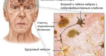 www.happymozg.ru