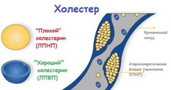fitnes-mitino.ru
