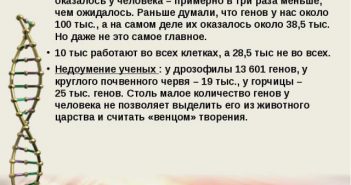 ppt4web.ru