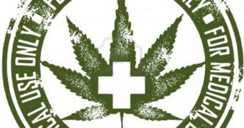 smileseeds.com.ua