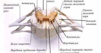 Поликлиника Медицинский Комплекс