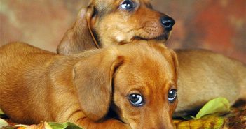 Ответы@Mail.Ru