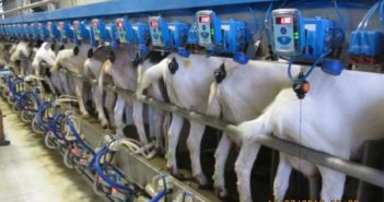 www.afimilk.com600 × 450
