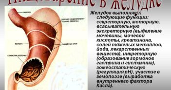 Сборник рефератов