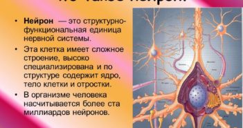 MyShared.ru