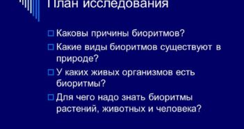 MyShared.ru