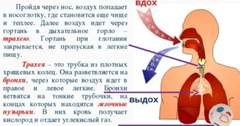 Личность человека можно точно установить по его дыханию
