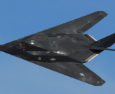 Сокол-сапсан вдохновил создателей американского самолета B-2 Spirit