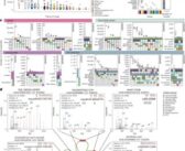 Новый инструмент улучшает обнаружение скрытых генетических мутаций