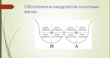 Израильские передовые подходы в терапии метастатического рака молочной железы: новые горизонты и надежды.