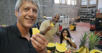 Желтый арбуз, разноцветная кукуруза: новые фрукты в Израиле